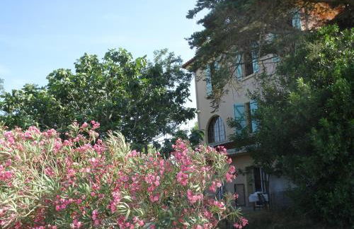 Domaine du Petit Tournebelle - Foto 23