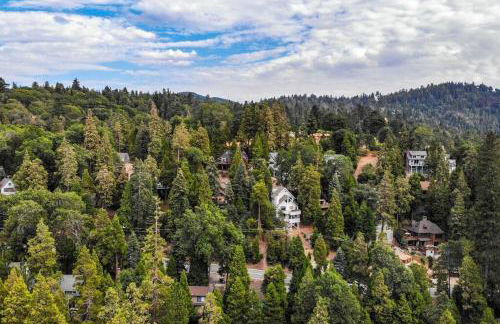 Lake house Cabin - Lake Arrowhead - Photo 49