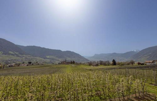 Platterhof - Foto 26