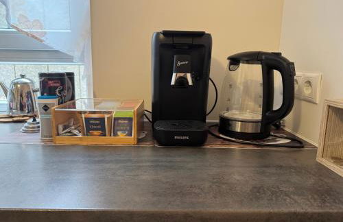 LuxuryOrion,nahe Europapark & Rulantica,Netflix,Disney,KartinaTV - Foto 29