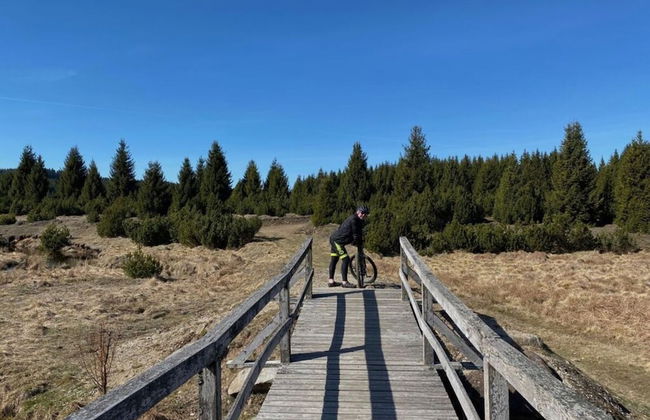 Yellow House Modern Retreat - Foto 7