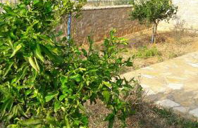 Εξωτικο διαμερισμα με θεα την παραλια αλυκης - Photo 18