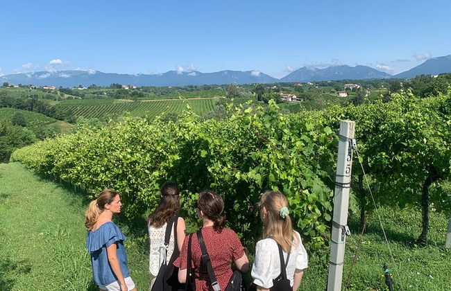 Premium Private Prosecco Hills Tour - 2 Cantine. Tour privato. - Foto 1