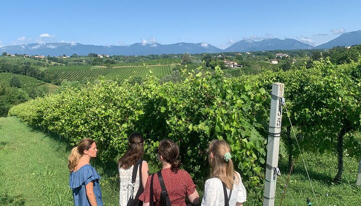 Premium Private Prosecco Hills Tour - 2 Cantine. Tour privato. - Foto 1