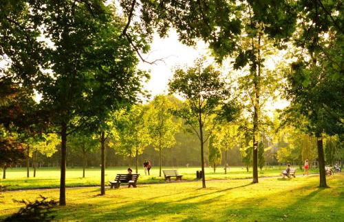 Studio neuf, Métro, Résidence protégée - Foto 2