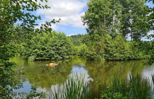 Domek de Janauis - Foto 63