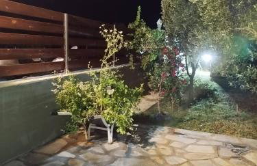 Green Olive Studios - Photo 48