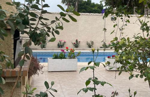 PARADISE GARDEN - Photo 55