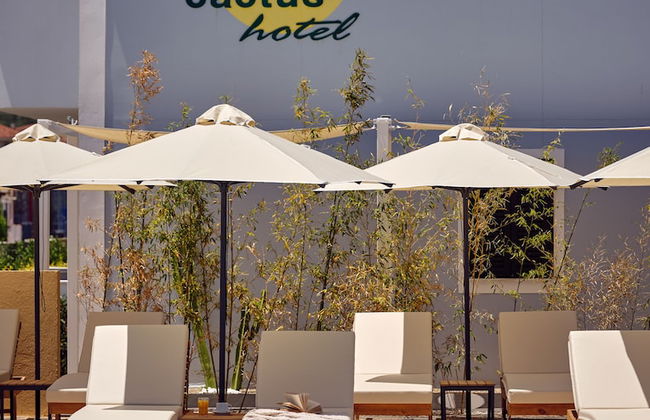 Cactus Hotel - Foto 46