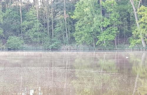 Stawy u Sikory - Dom Rybak - Agroturystyka i łowisko - Foto 28