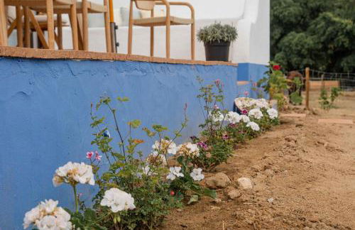 Casa da Azeitona e Bolota T2 - Monte do Serrado de Baixo - Foto 34