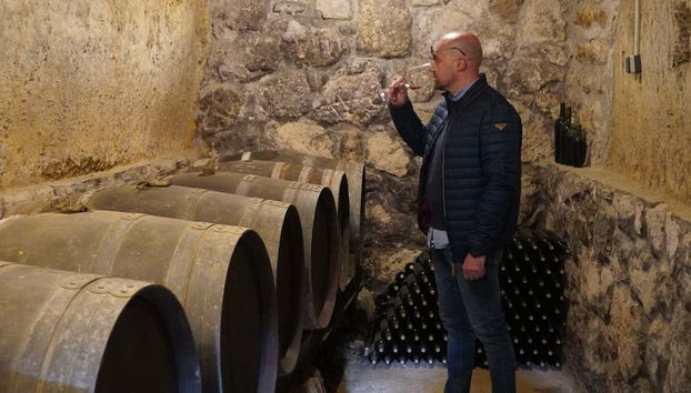 Dégustation des vins de la cave Bodega Tovar