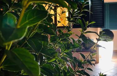 The Loft E&E Open Space - Foto 1