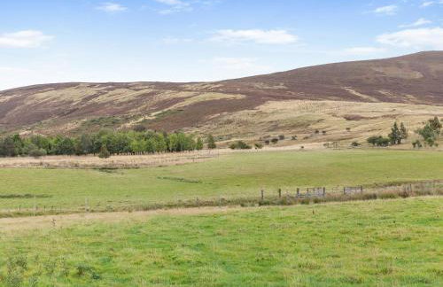 Mid Bellandy - Foto 20