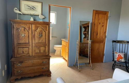 Tucson Mnt Foothills Saguaro Bliss - Foto 17