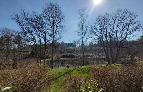 NaturBlick am Rothaarsteig neue moderne Ferienwohnung mit 2 Badezimmern 2 Küchen inklusive Highspeed Internet Flatrate 2x XXL Boxspringbett 2x Terrassen und 2x PKW Parkplätze 10 Minuten bis Willingen Ideal für Touristen und Geschäftsleute mit MWStRechnung - Foto 26