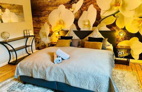 65qm Luxus Apartment mit Whirlpool Saarbrücken Uni Nähe - Foto 42