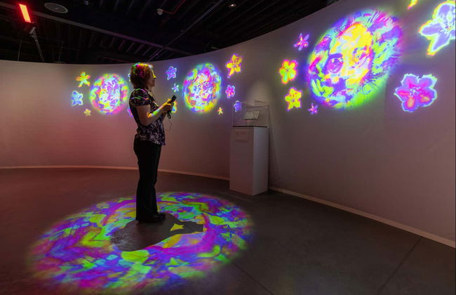 Strawberry Field Entrance Ticket - Foto 5