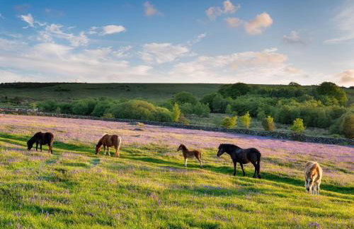 1 Bed in Totnes oc-88098 - Photo 19