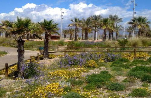 El Chiringuito - Foto 30