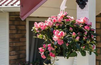 Baltiq Spot Rewa - Foto 38