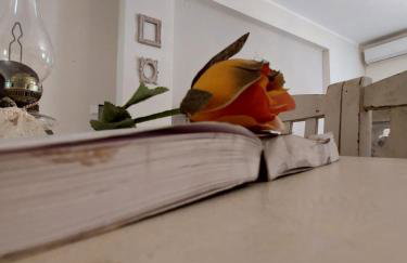 Antique Apartment 2 - Photo 21