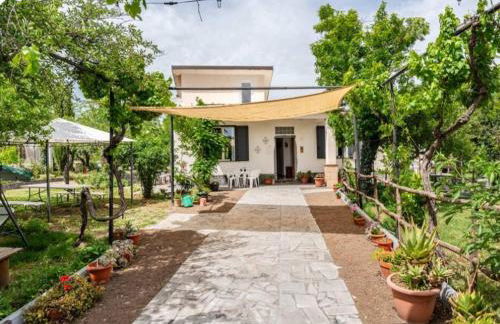 Etna, salvia e rosmarino - Foto 6