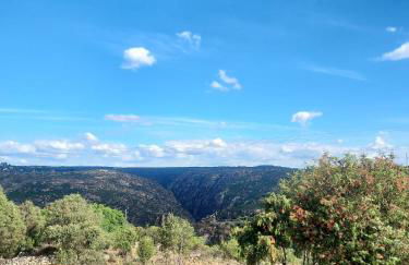 Casas do Abô Fredo - Foto 28