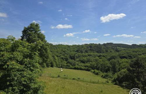 Maison indépendante près de Sarlat, cheminée, animaux acceptés - FR-1-616-130 - Foto 7