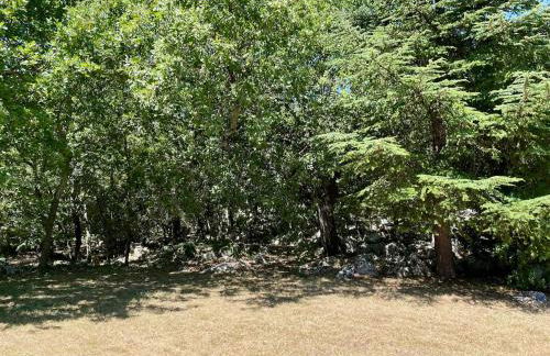 Estate with pool on 2 hectares in Balazuc - Foto 12