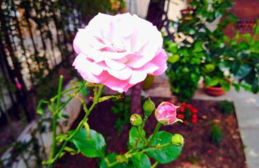 The house in nature SKG - Foto 32