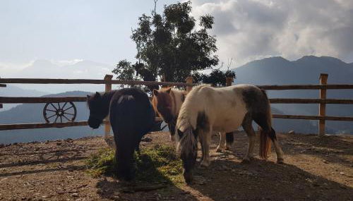 Lüch da Börz - Foto 4