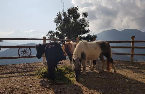 Lüch da Börz - Foto 4