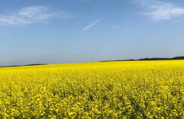 Peeneurlaub - Foto 27