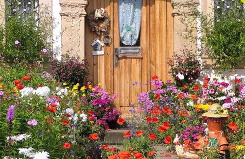 One-bedroom apartment - Foto 31