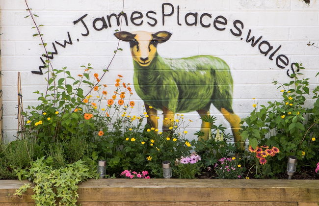 James Place @ Dowlais - Foto 42