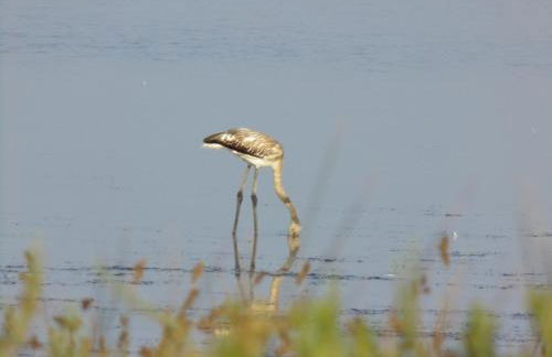 Porta dei Mari - Foto 51