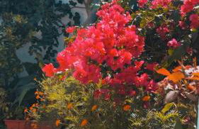 Yanna's Apartments - Foto 77