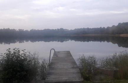 FeWo Marie Magdalena - Foto 16