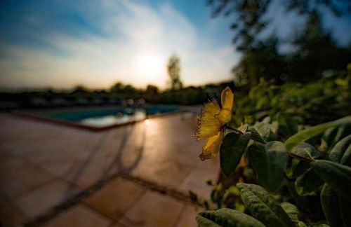 Tenuta Meraviglia - Esclusiva con grande giardino, piscina e vista ideale per gruppi e matrimoni - Foto 45