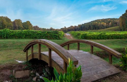 Log Cabin with Mountain View and Privacy - Foto 65