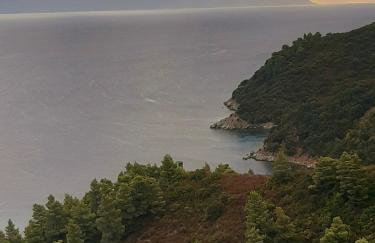 Studio Wilem - Foto 58