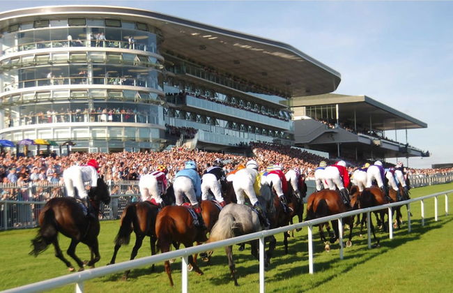 Stunning 6 Bed House With Private Garden in Galway - Foto 18