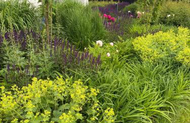 Apartament Ryn Mazury Piękny Widok na Jezioro Balia z Hydromasażem - Foto 19