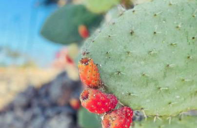 Domus Lucia - Foto 39