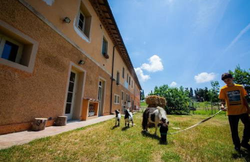 Agriturismo La Valle della Lavanda - Podere Mezzastrada - Foto 9