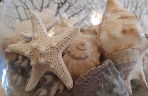 La Casa delle Conchiglie - Foto 6