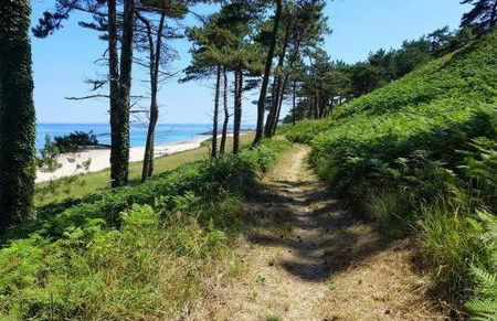 Grand loft de 60m2 très lumineux très belle vue sur mer - Foto 41