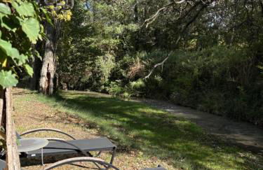 Le petit Auzon - Foto 55