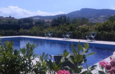 Le Vigne di Clementina Fabi - Foto 29